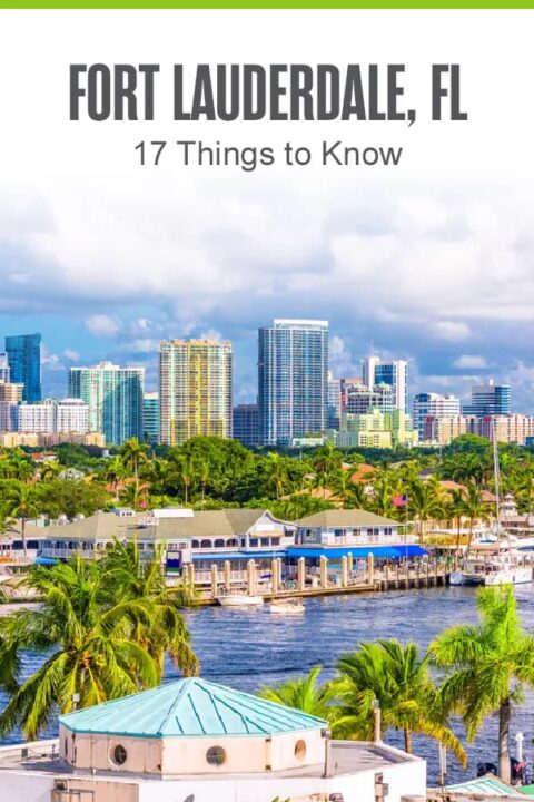 Moving to Fort Lauderdale? Here are 17 Things to Know | Extra Space Storage