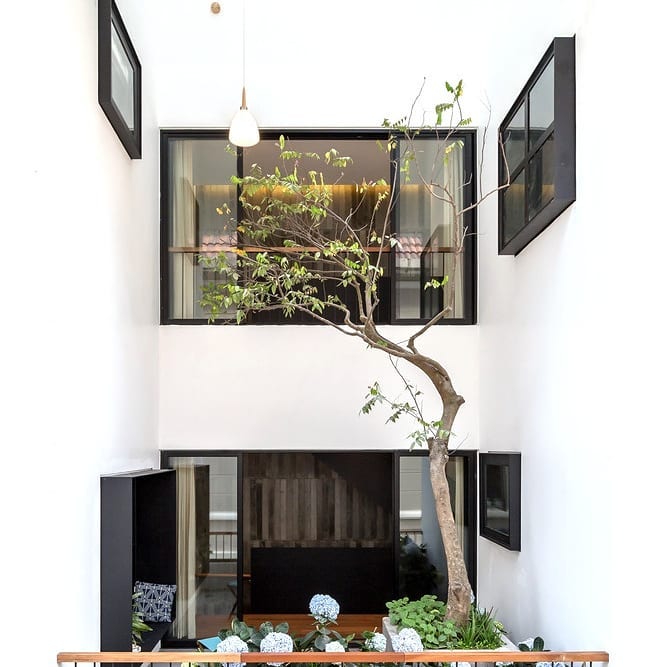 Indoor Courtyard with Tree. Photo by Instagram user @thinkhomeoffice