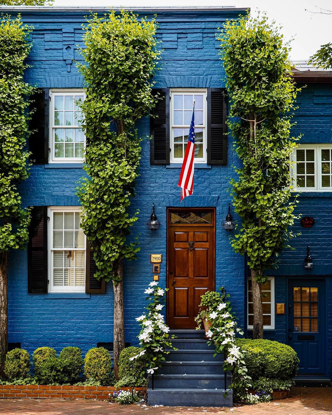 Home in Georgetown, Washington DC with blue brick interior, brown wooden door, and greenery. Photo by Instagram user @annabmartin