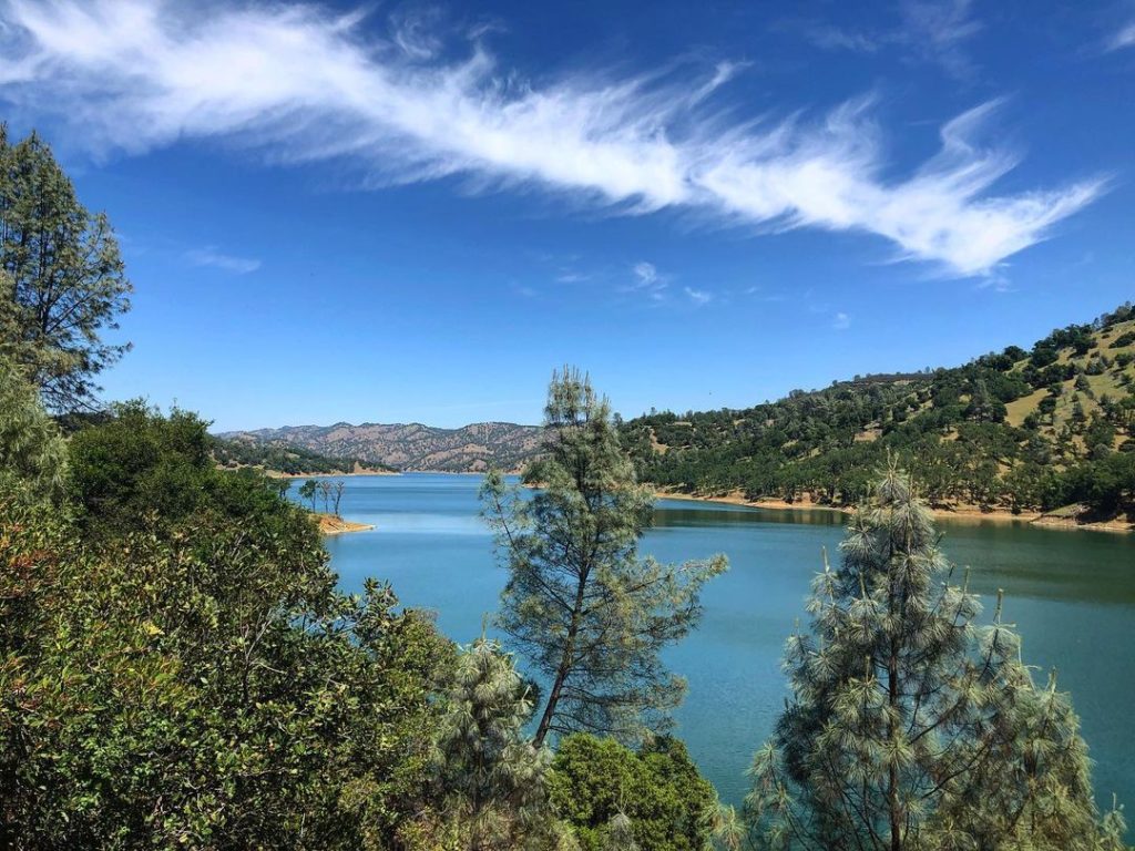 View of light blue lake through pine trees from atop a mountain. Photo via Instagram user @lake_berryessa