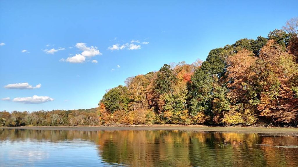 A shoreline with trees and a still lake. Photo via Instagram user @rheaoutdoors