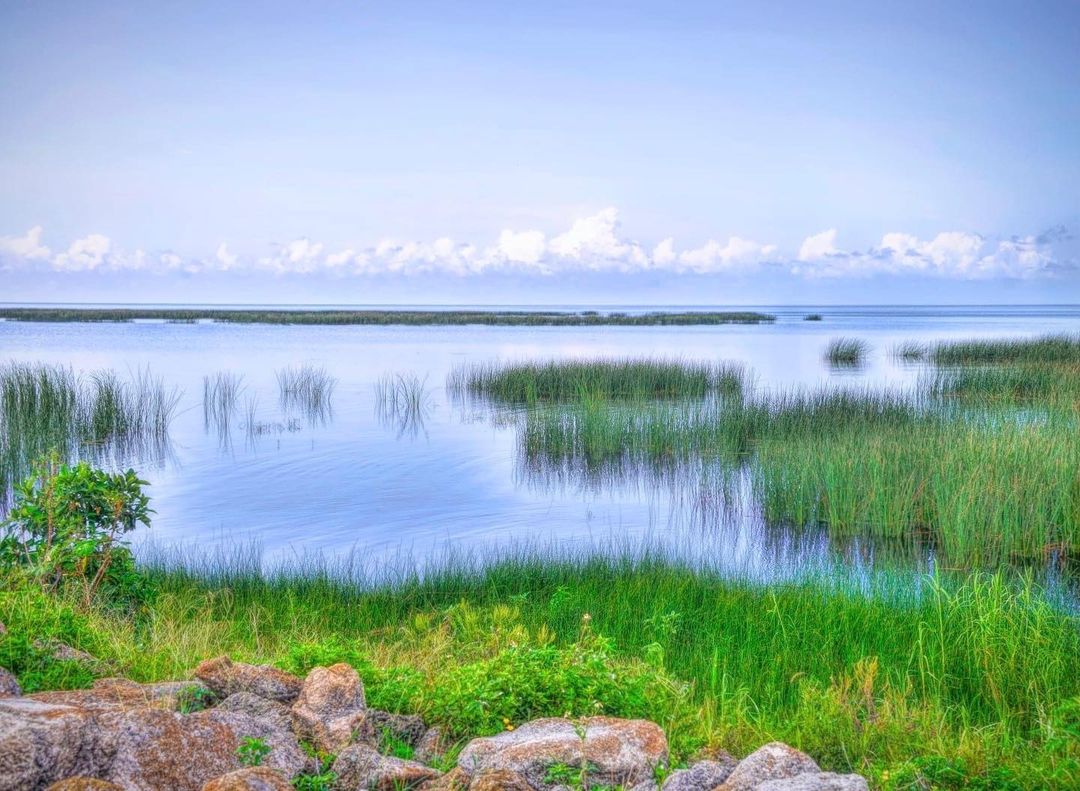View of the Grasslands at Lake Okeechobee. Photo by Instagram user @alisonsphotographs
