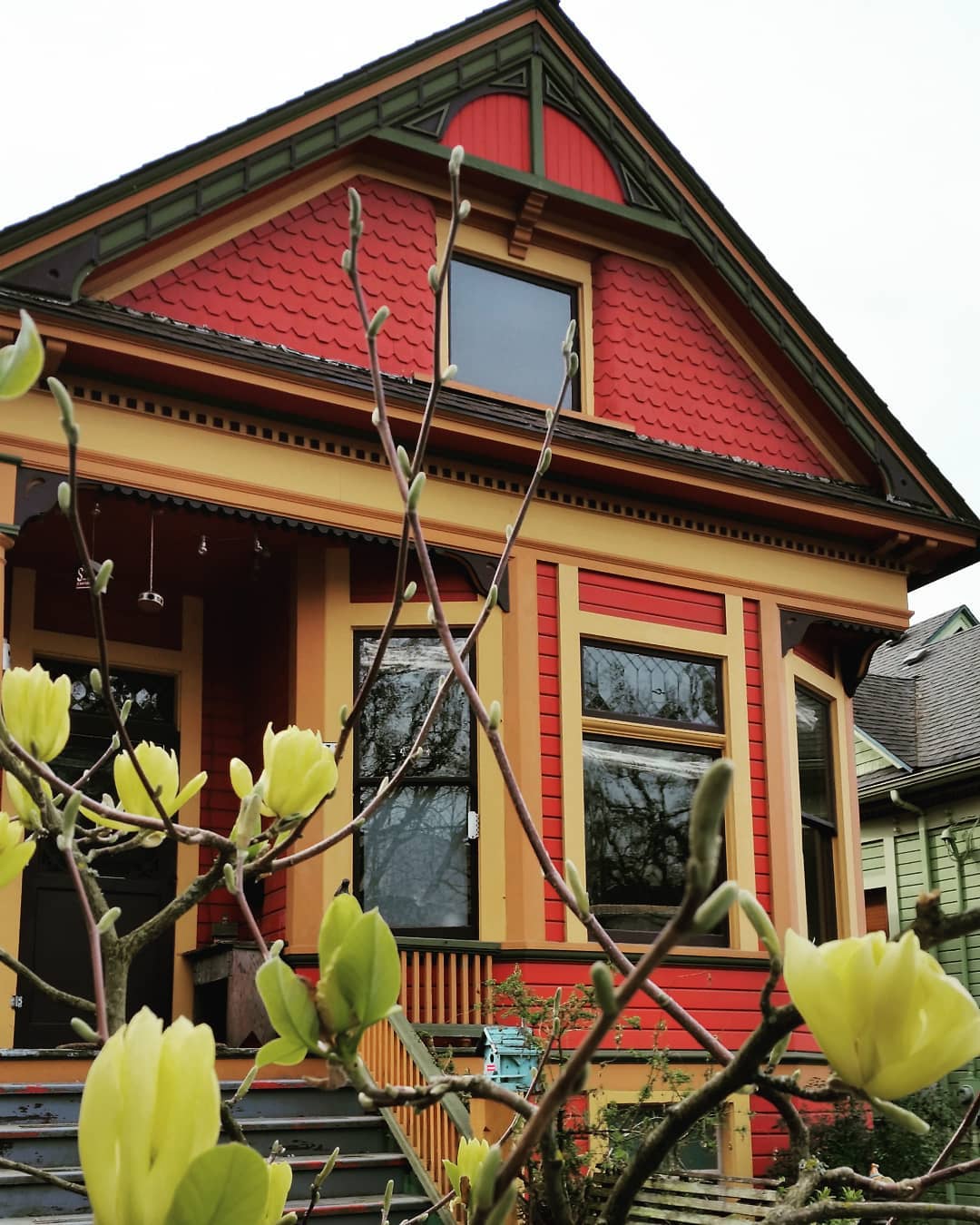 Front view of single-family home painted red with yellow trim and gray stairs with branches of flower bush in the foreground. Photo by Instagram user @wildwellnessguide