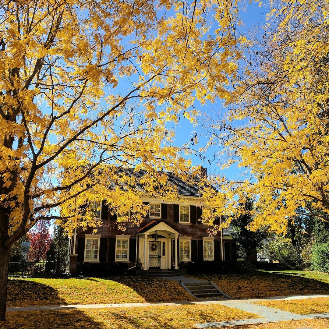 Front view of two-story brick home shaded by trees with yellow-colored leaves. Photo by Instagram user @colorado.wanderings