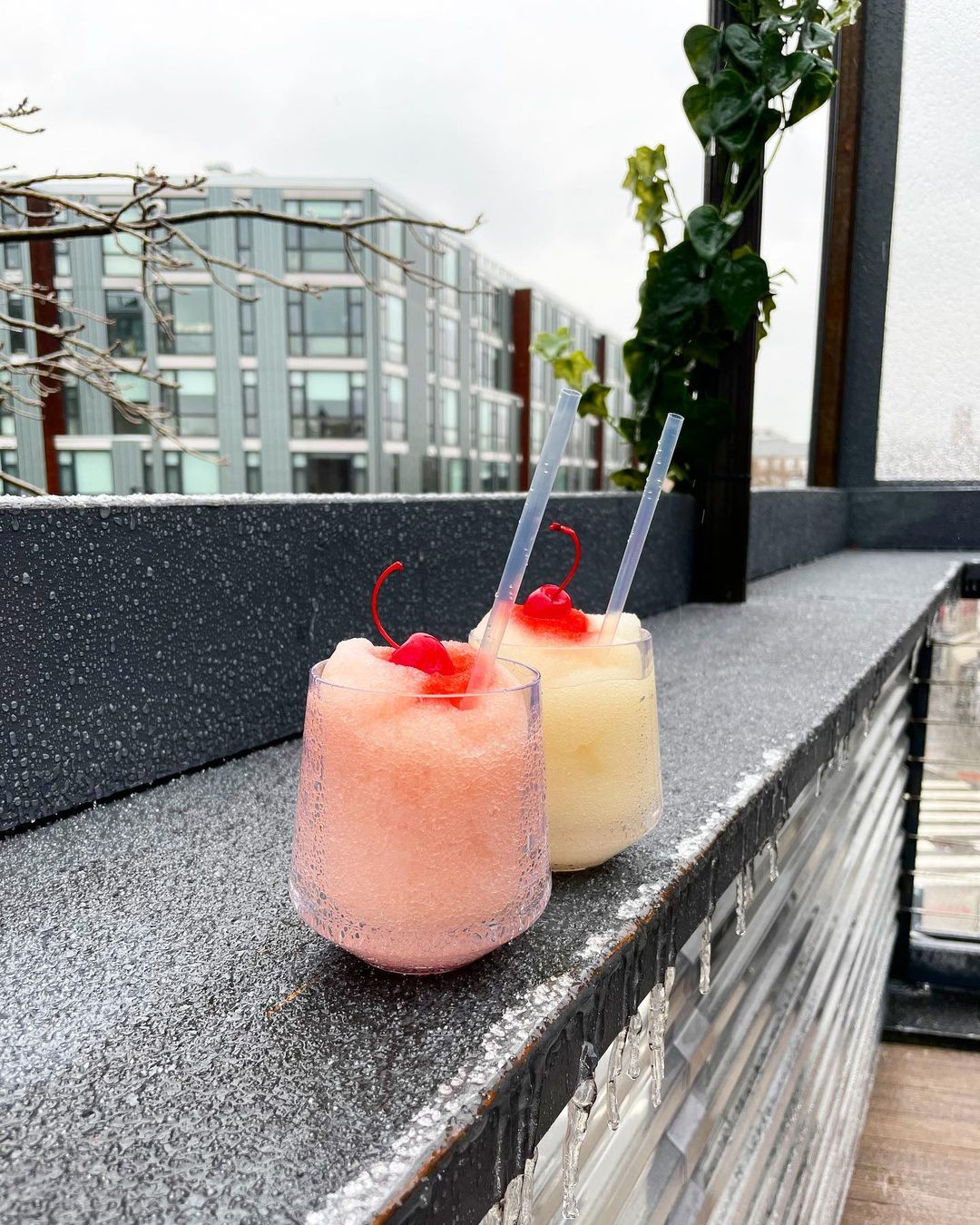 Pink and white frose drinks on the rooftop at Takoda Restaurant & Beer Garden in Washington DC. Photo via Instagram user @takodadc
