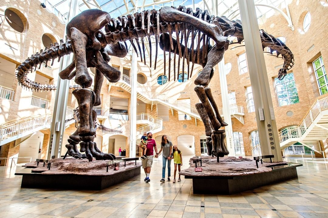 Family looking up at dinosaur skeleton. Photo by @fernbankmuseum