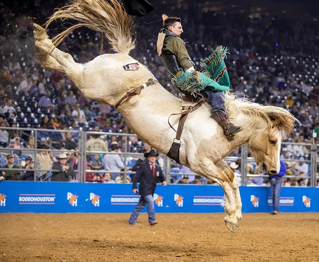 A man holds onto his bucking horse while a judge walks towards him and the crowd watches at the Houston Rodeo. Photo via Instagram user @everythingcowboy