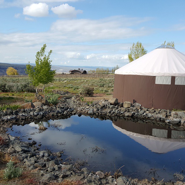 Yurt by a Pond on a Wide-Open Ranch. Photo by Instagram user @wahito83