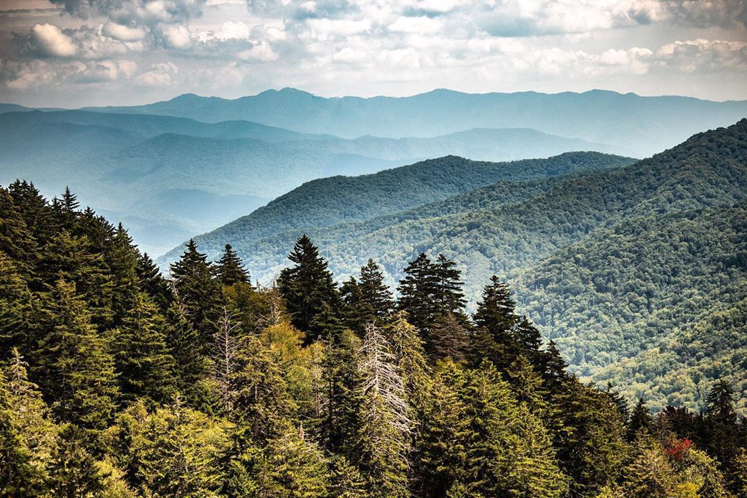 Trees and Mountains at Great Smoky Mountains National Park. Photo by Instagram user @jsiegristphoto