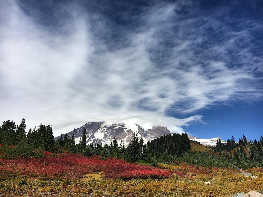 Snow and Ice Covered Mount Rainier Looms Behind a Landscape of Tall Fir Trees, and Brightly Colored Orange, Red, and Yellow Foliage. Photo by Instagram user @mountainrainiernps