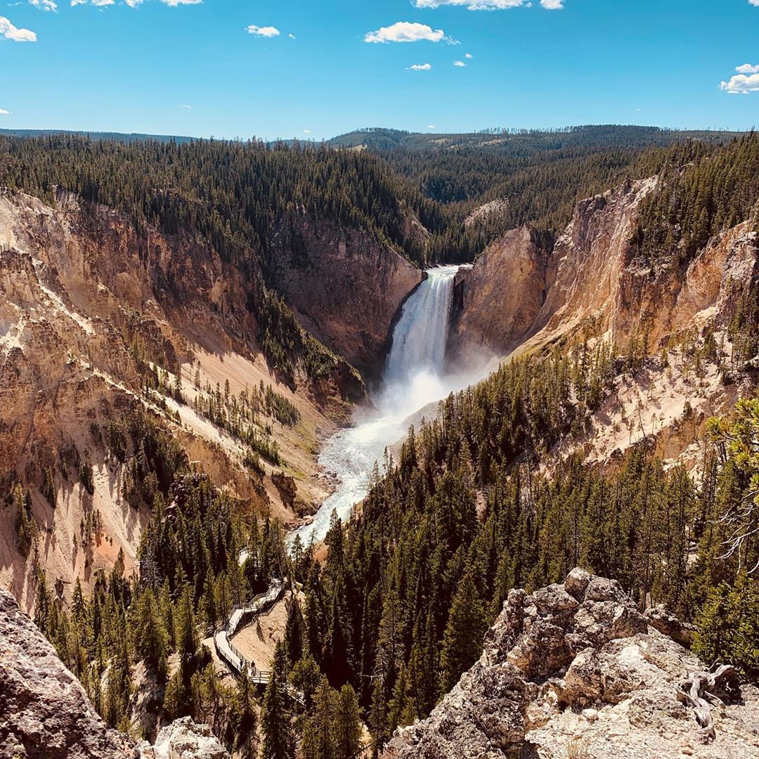 Giant Canyon with a Waterfall in Yellowstone Naitonal Park. Photo by Instagram user @tearnyour