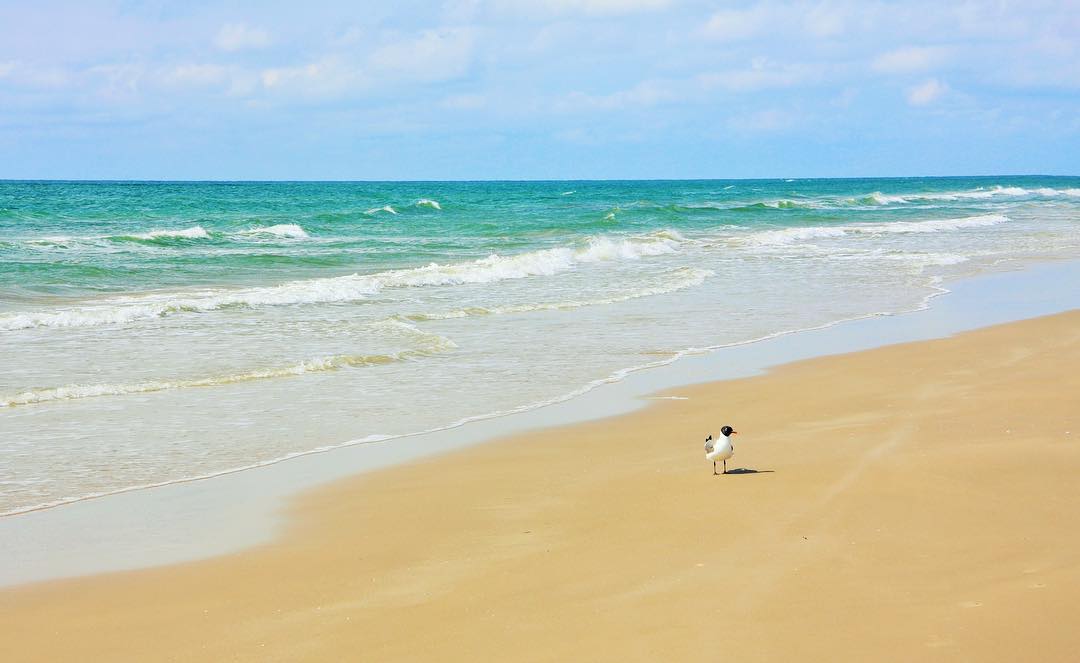 Waves Lapping Up on South Padre Island Beach on a Sunny Day. Photo by Instagram user @allisonlegrantphotography