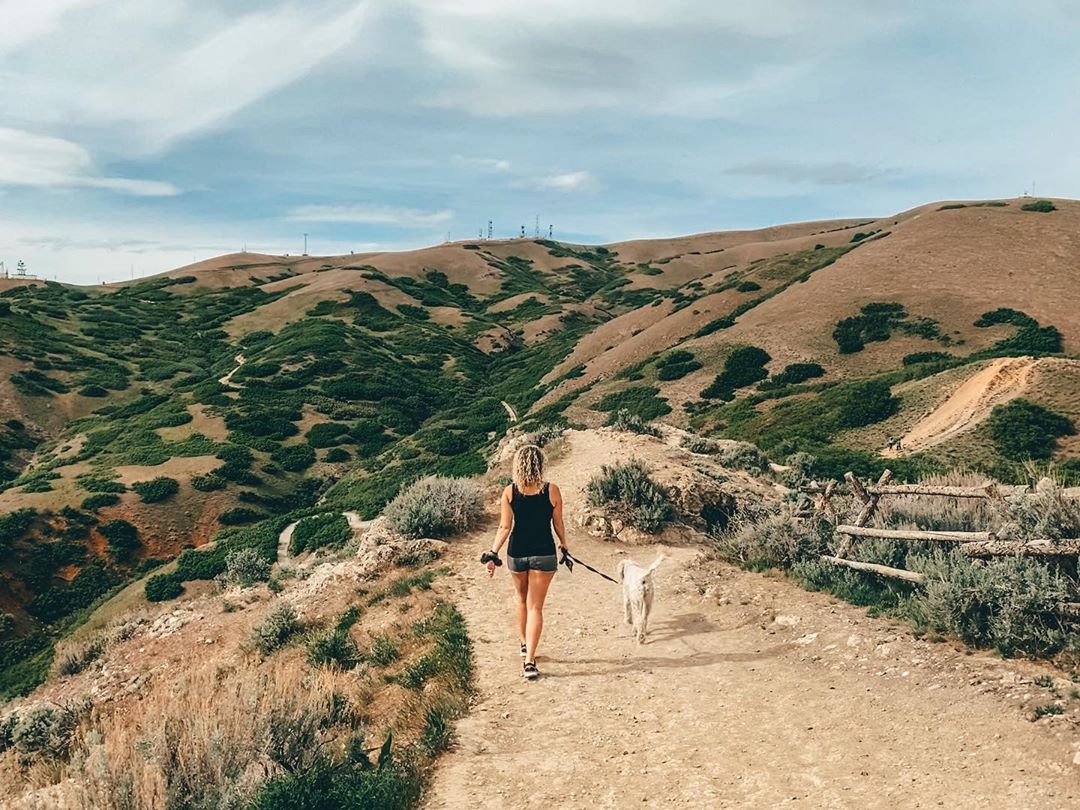 Woman walking with her dog along a hiking trail. Photo by Instagram user @andreafcannon