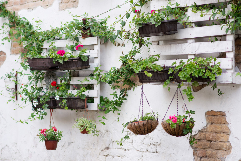 Plant boxes and flower pots handing from white wooden crates on stone wall.
