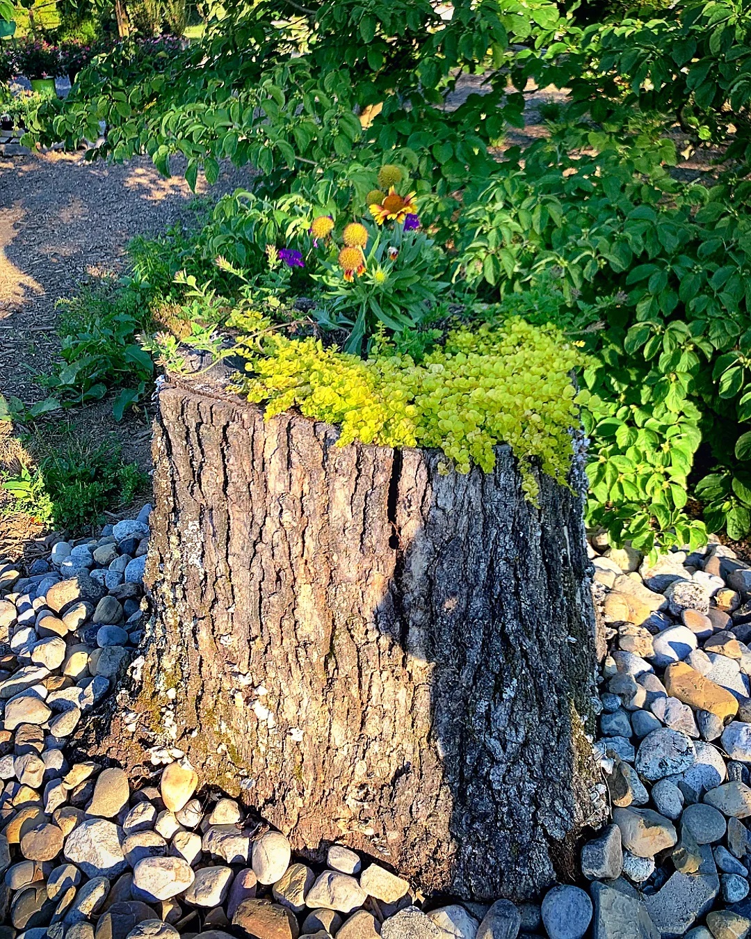 Decorative tree stump with flowers and greenery. Photo via Instagram user @gardenkeepersofvirginia