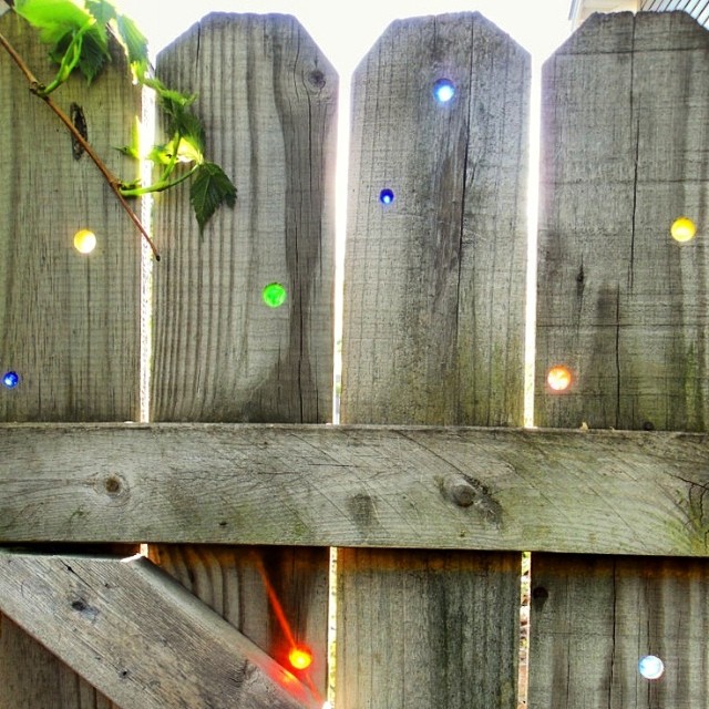 Fence with colorful marbles in it. Photo by Instagram user @suchgaul