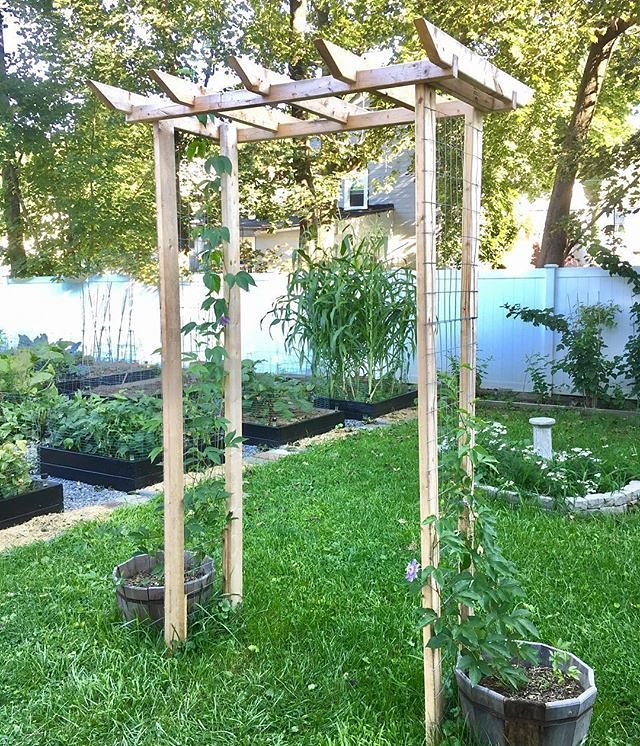 Brown trellis with vines wrapped around it. Photo by Instagram user @sugarcanedreams
