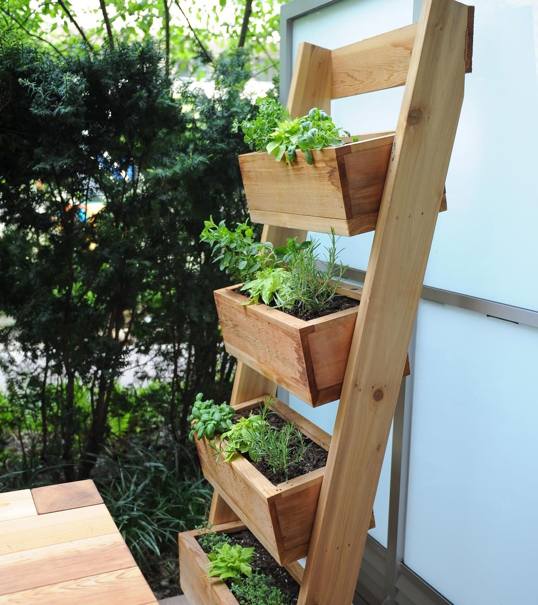 Backyard Garden Ladder. Photo by Instagram user @real.cedar