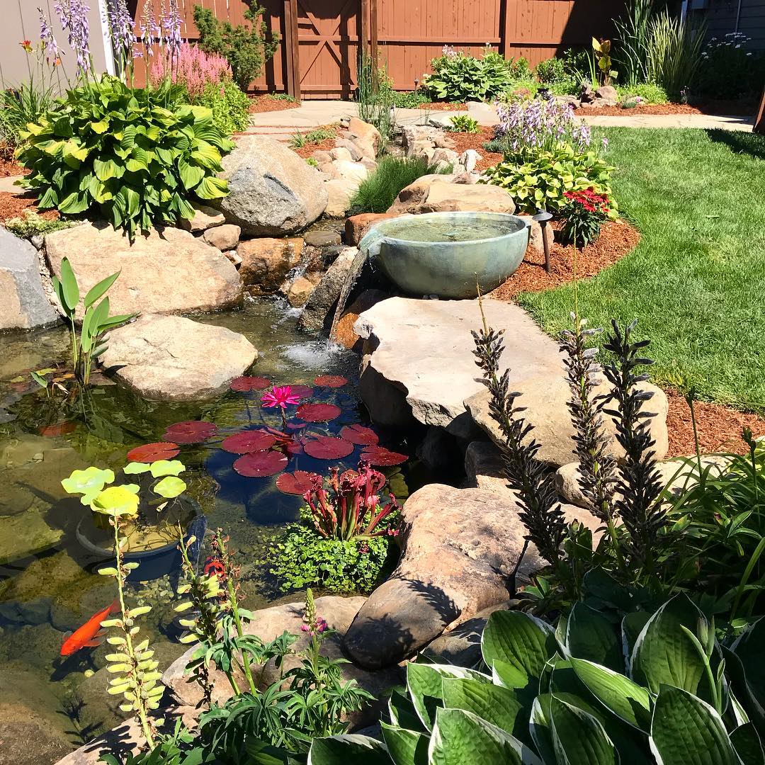 Backyard pond with rocks and lily pads. Photo by Instagram user @auburnskylandscaping