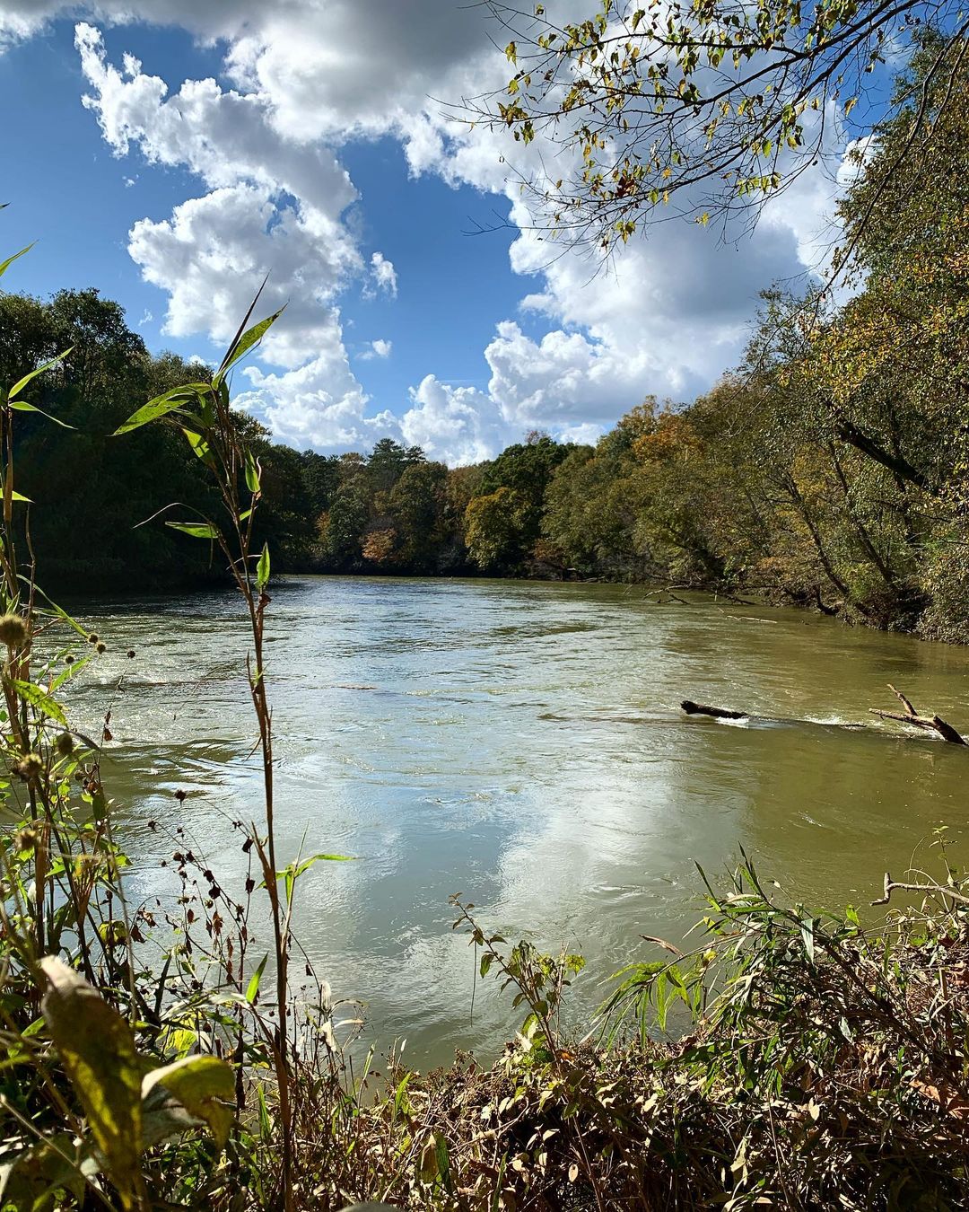 View of the Chattahoochee River in Johns Creek, GA. Photo by Instagram user @e.j.creates