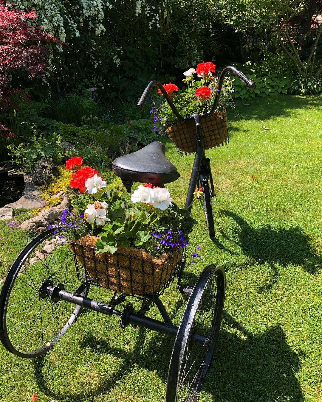 Bike with baskets of red flowers on them.