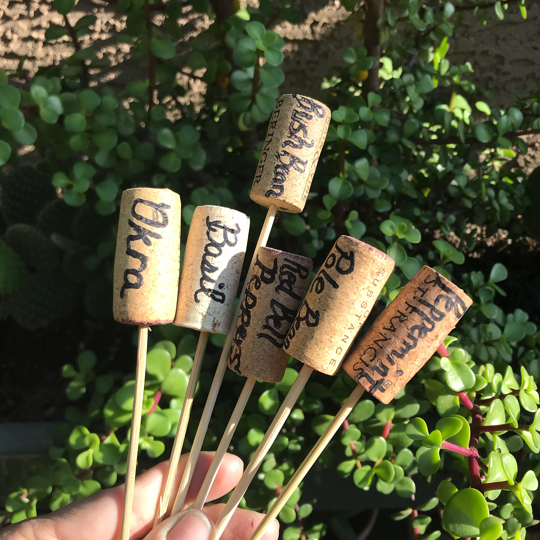Wine cork labels for the ground.