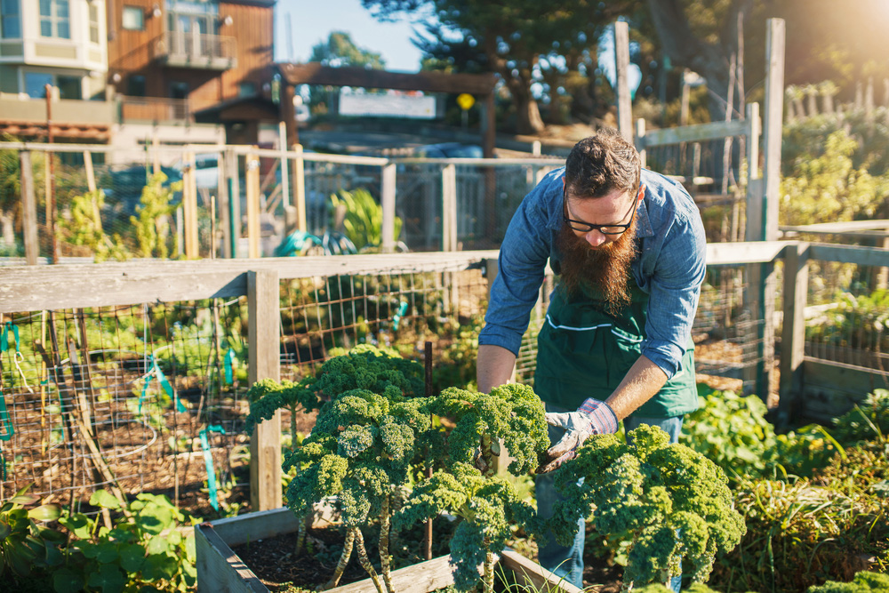 Easy Diy Ideas For Creating An Urban Garden, Urban Vegetable Gardening Ideas