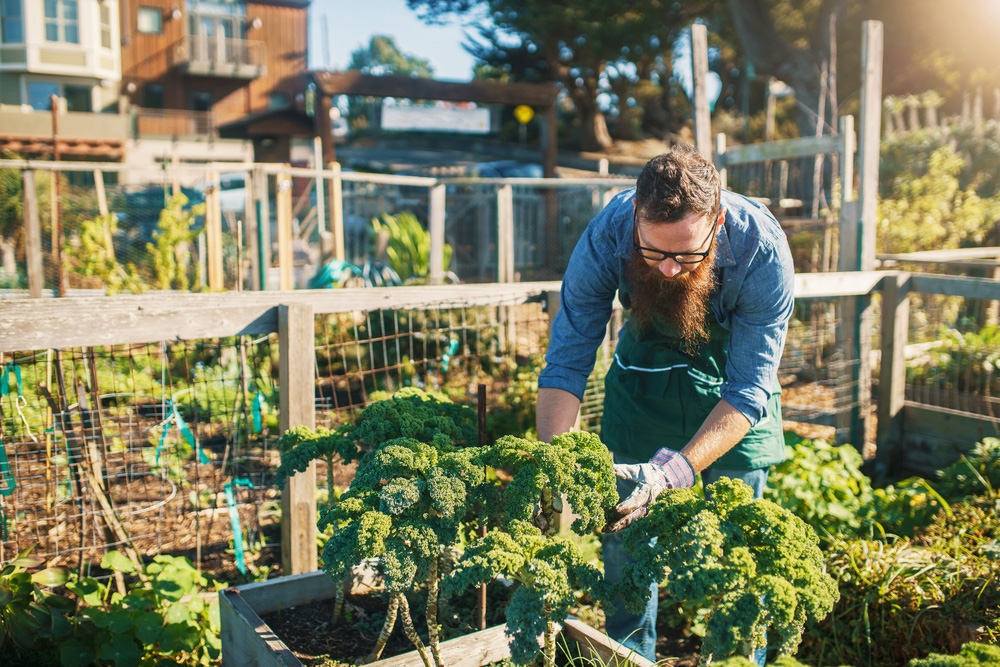 Young man working in urban garden