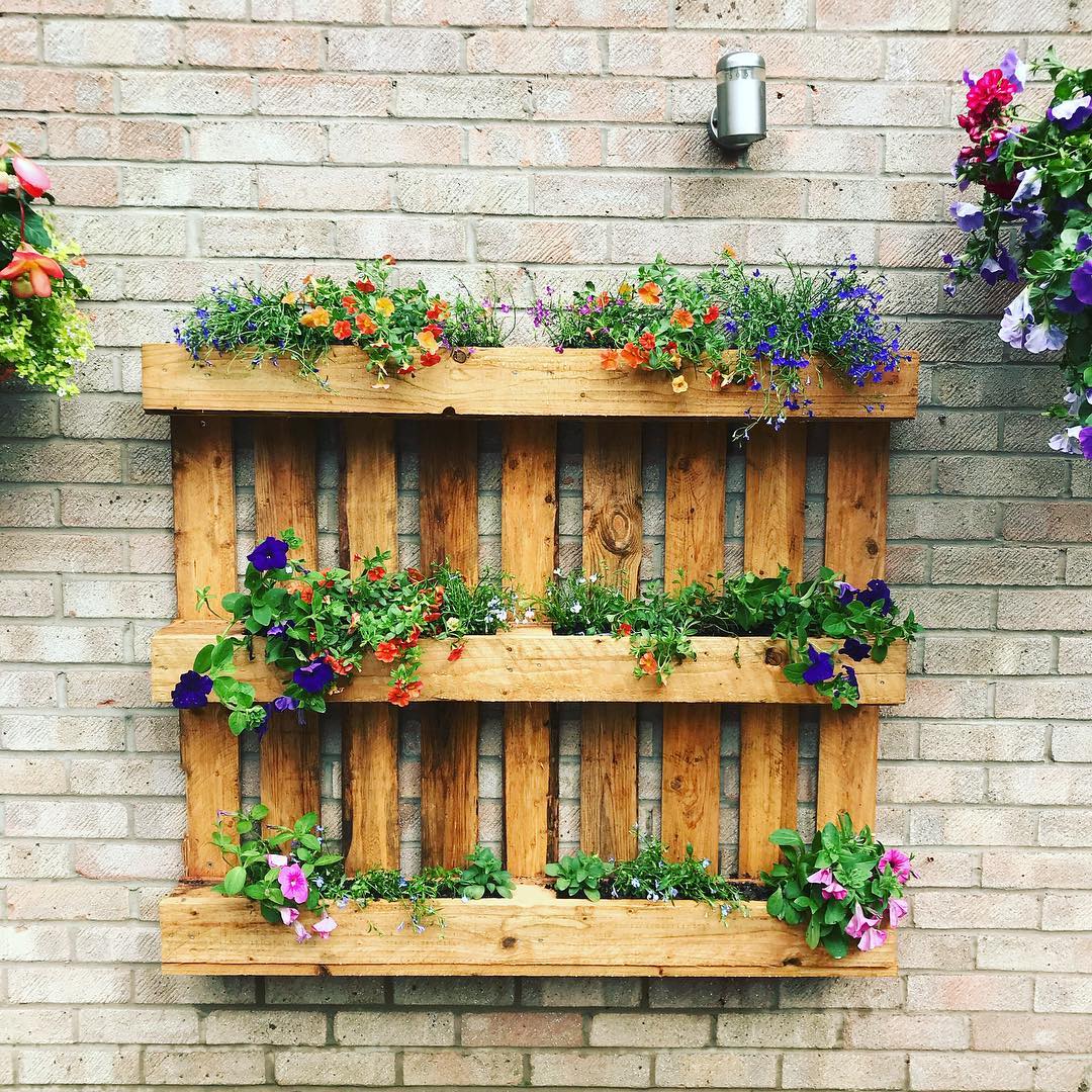 Pallet repurposed for vertical garden. Photo by Instagram user @nats_about_nature