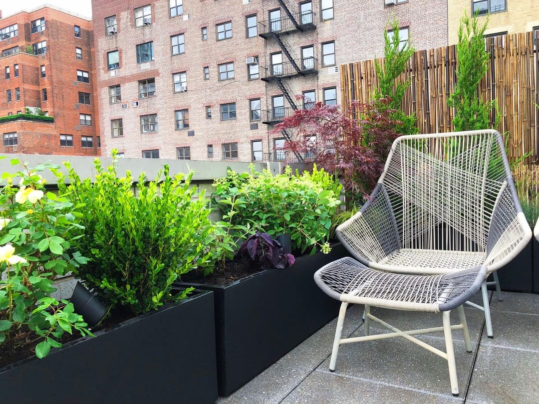 Rooftop garden in NYC. Photo by Instagram user @nycgardendesign