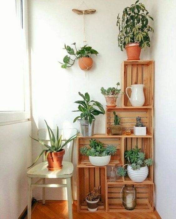 Plants displayed on repurposed crates in home. Photo by Instagram user @gardening_goals