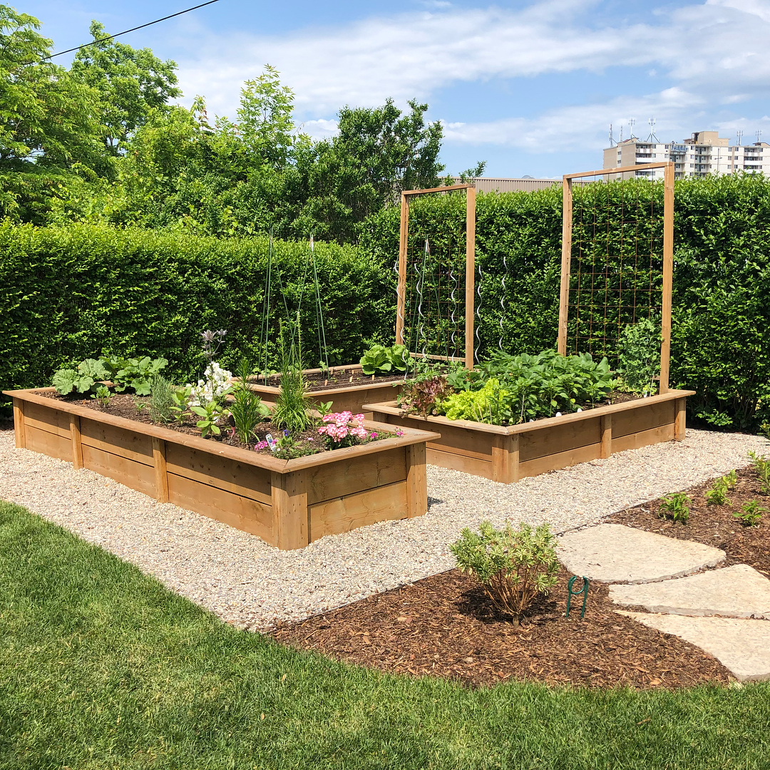 Raised garden bed surrounded by gray gravel.