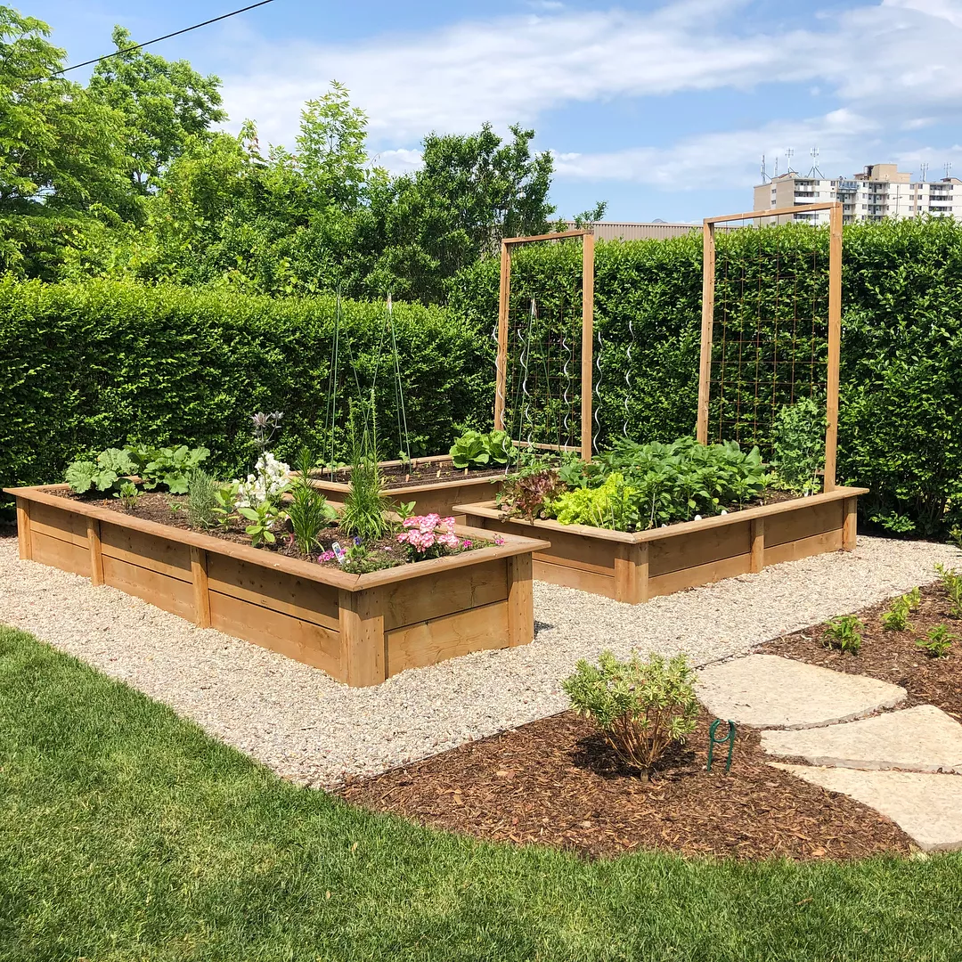 Image of Raised garden bed in coastal setting
