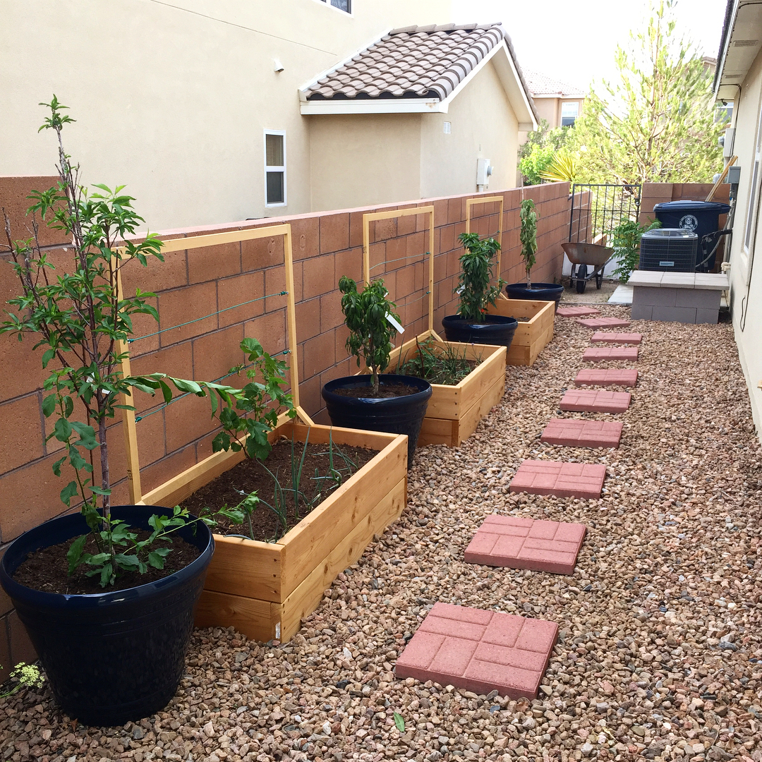 Grassless backyard with wood planters and brick path.