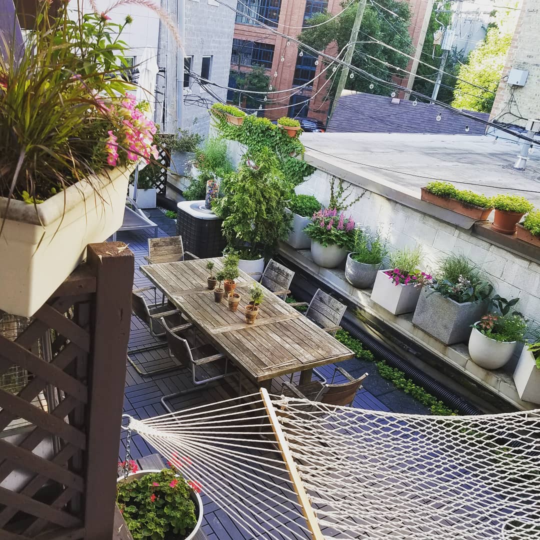 Rooftop garden with container garden. Photo by Instagram user @senarosenberg