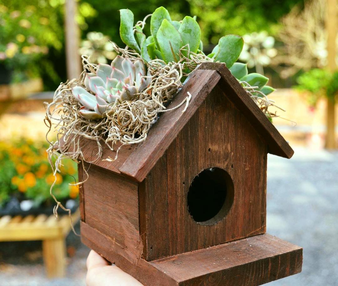 Brown birdhouse with succulents on the roof.