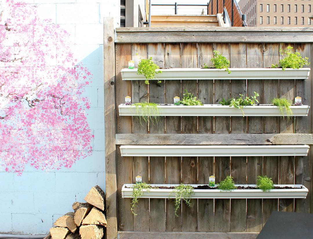 Rain gutters repurposed for fence garden. Photo by Instagram user @dumplingpark