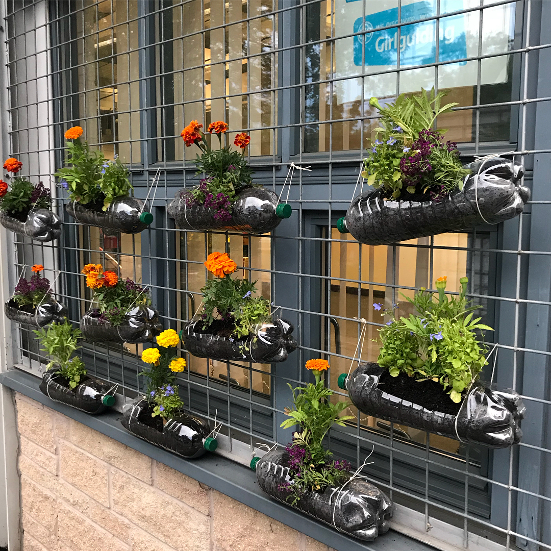 Plastic bottles repurposed as planters for urban garden. Photo by Instagram user @miss_lathe