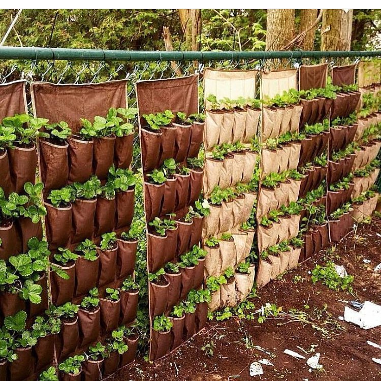 Easy Diy Ideas For Creating An Urban Garden, Urban Gardening Ideas Containers