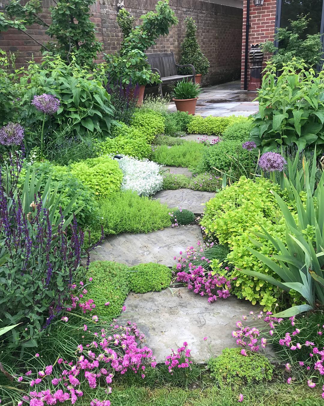 Stone pathway between bushes.