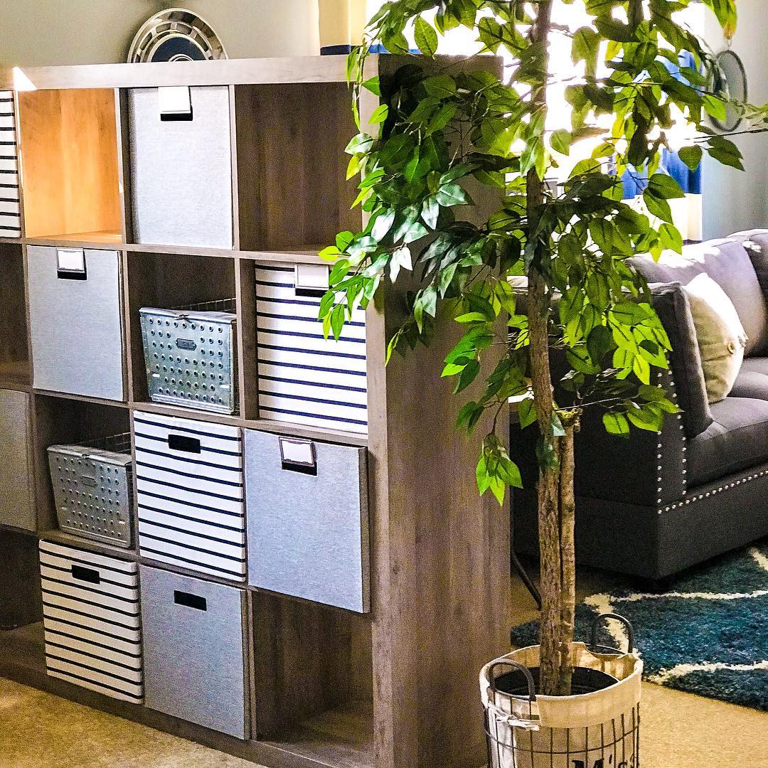 Storage cubby divider in studio apartment next to plant. Photo by Instagram user @yellowdoorinterior