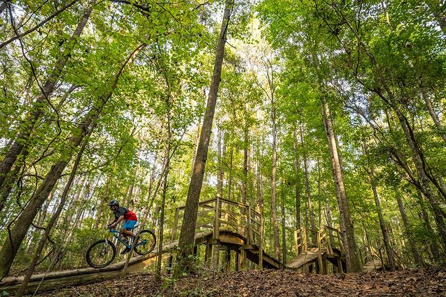 Person Mountain Biking on a Raised Trail in Tom Brown Bike Trails in Tallahassee. Photo by Instagram user @visit_tally