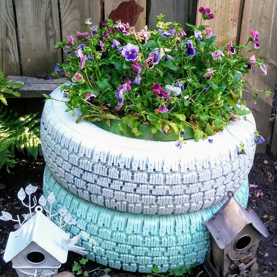 Tires painted white and blue and filled with purple flowers.