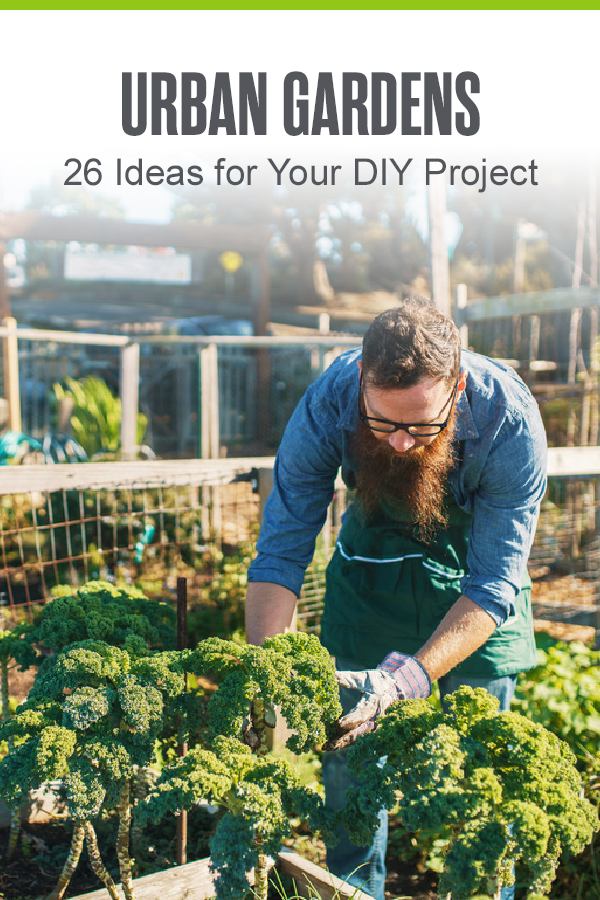 Pinterest graphic: Urban Gardens: 26 Ideas for Your DIY Project