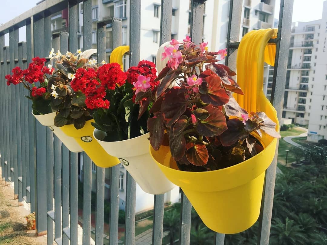 Railing planters on urban balcony. Photo by Instagram user @onlychaitu