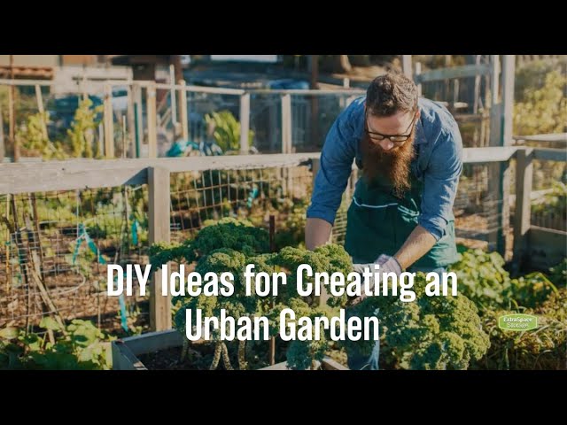 26 DIY Ideas for Creating an Urban Garden