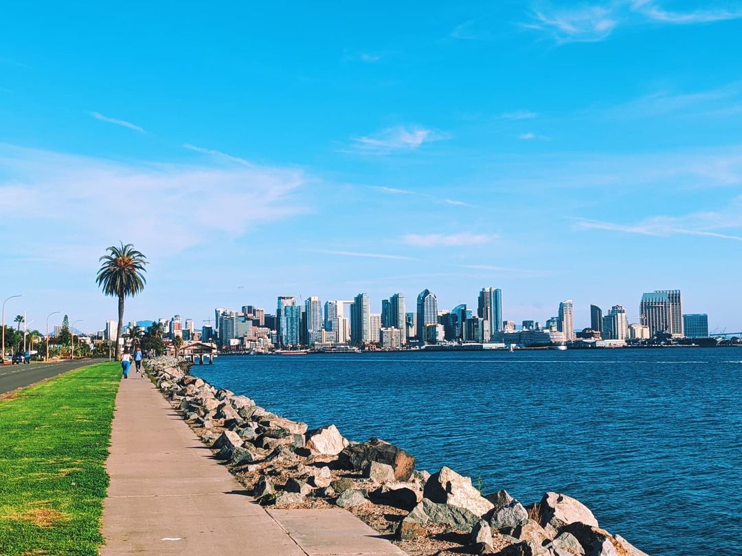 San Diego skyline picture from Harbor Island with palm tree, riprap, green grass, deep blue sea, and clear sky | Photo by Instagram user @chronicallycambria