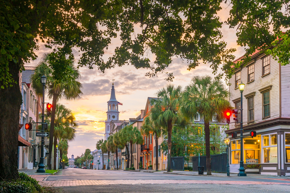 street view of downtown charleston with tall palm trees and traffic lights