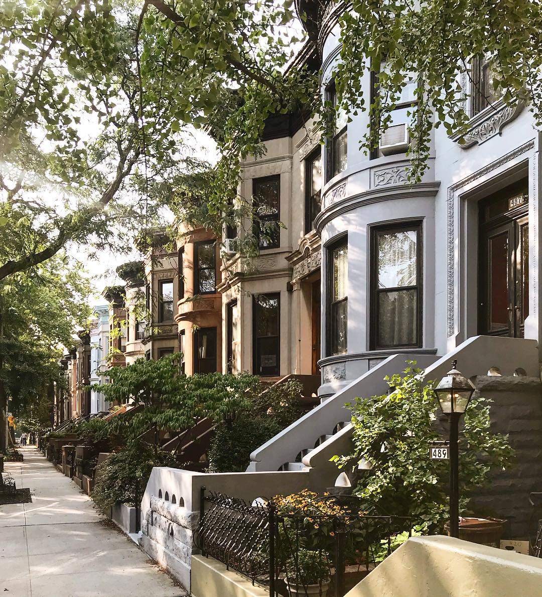 Looking at a row of brownstones from the sidewalk Photo by Instagram user @madufault