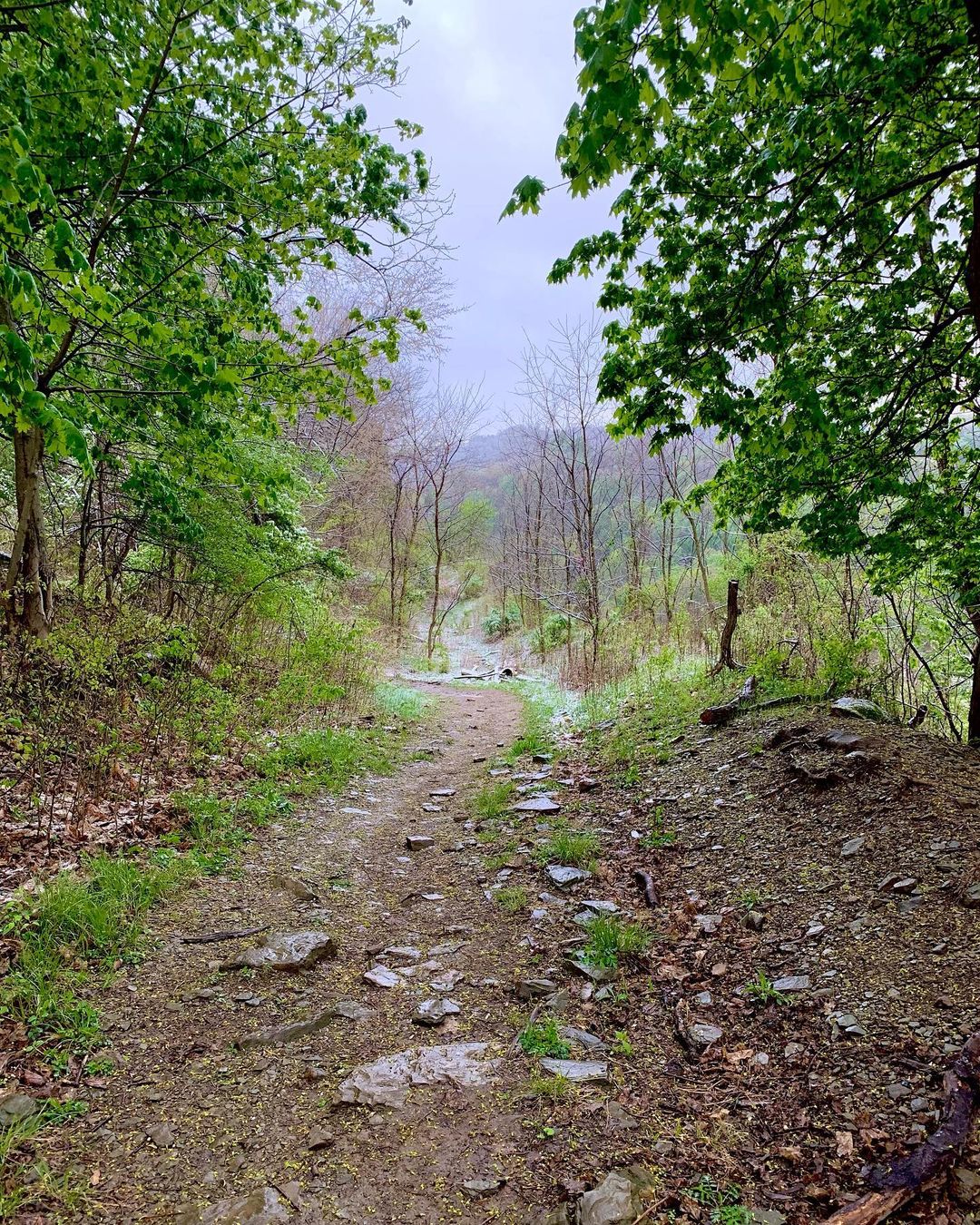 Trail photo at Emerald View Park. Photo by Instagram user @pghparkrangers